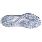 ASICS Court Hunter FF Blue Fade / Vapor