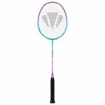Carlton Velocitex V210
