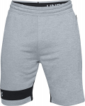 Under Armour Tech Terry Short Grey