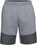 Under Armour MK1 Terry Short Gray