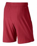 Nike 2in1 10in Short Red