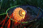 Talbot-Torro Magic Night LED 449405