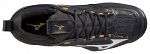 Mizuno Wave Momentum 2 Black / Oyster / MP Gold / Iron Gate