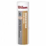Wilson Smashstar 6szt Białe