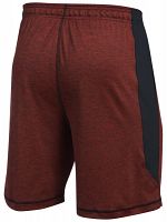 Under Armour 8in Raid Novelty Short Black Red