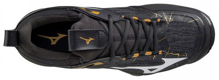 Mizuno Wave Momentum 2 Black / Oyster / MP Gold / Iron Gate