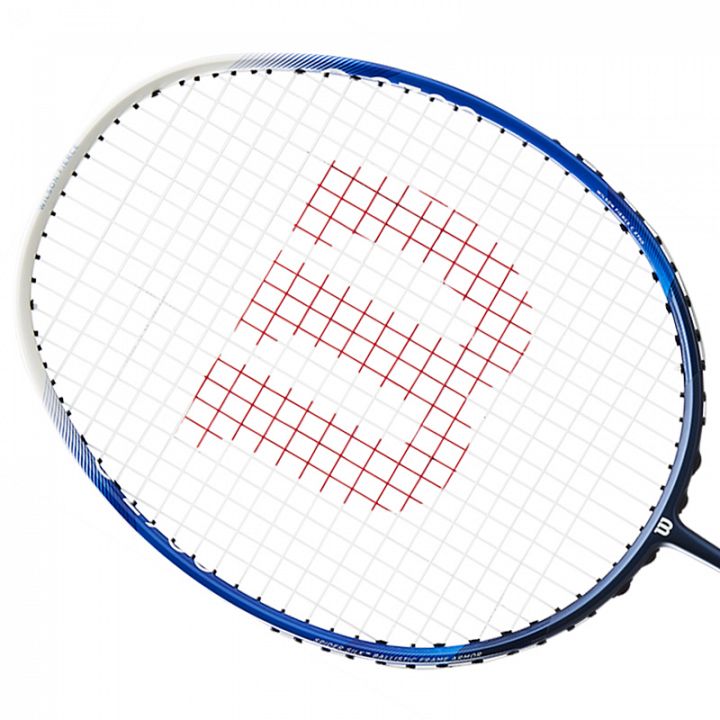 Wilson Fierce C 2700