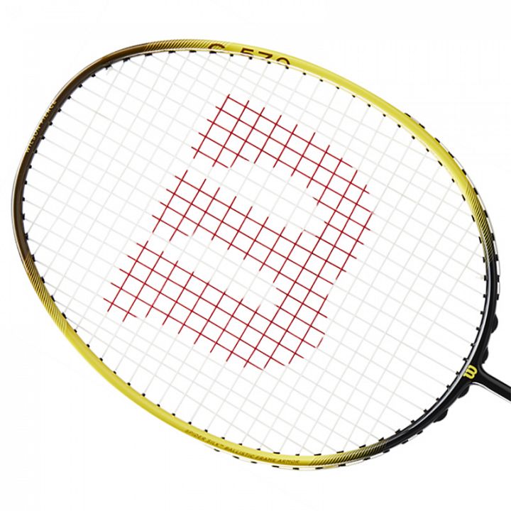 Wilson Fierce 570