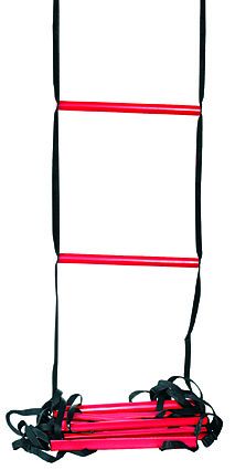 Wilson Training Ladder - drabinka
