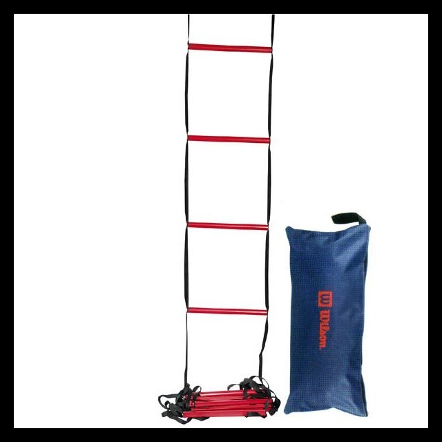Wilson Training Ladder - drabinka